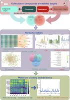 Elucidate molecular mechanisms of 173 compounds for potential breast cancer therapeutics: Insights through integrating network pharmacology, molecular docking and molecular dynamics simulation