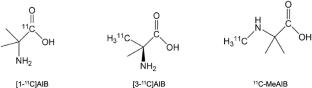 A first-in-man PET study of 2-amino-[3-11C] isobutyric acid for the amino acid transport System A: biodistribution and dosimetry in healthy volunteers