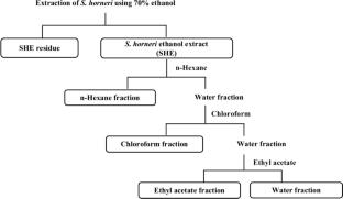Antioxidant activities of Sargassum horneri solvent fractions against urban particulate matter-induced oxidation