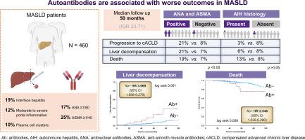 Autoantibodies are associated with worse outcomes in MASLD