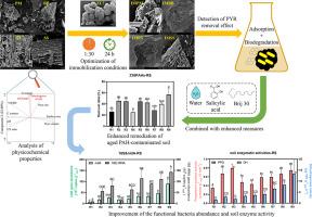 Characterization and PAH removal performance of microbe-immobilized biochars derived from different feedstocks