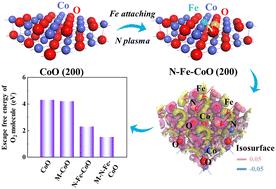 N, Fe co-incorporated CoO nanoarray enhanced by magnetic field for efficient water oxidation†
