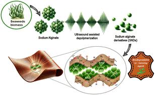 Biodegradable alginate derivatives obtained by eco-friendly ultrasound technology for more sustainable leather tanning†