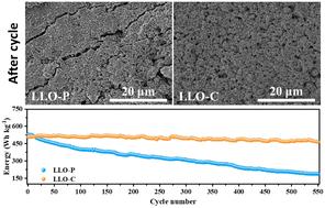 A Janus binder favors interfacial protection and mechanical stabilization for Li-rich layered oxide cathodes†