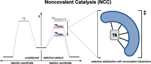 Selective Noncovalent Catalysis with Small Molecules
