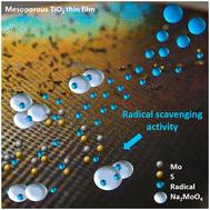 Non-cytotoxic molybdenum-based nanostructures as effective radical scavengers†