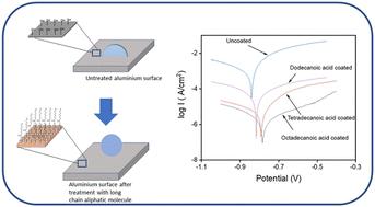 Accessing the corrosion resistance for metallic surfaces using long-chain fatty acids†