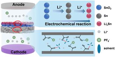 Hollow SnO2 nanosphere-coated separators for dendrite-free lithium metal batteries†