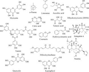 Exploring the Therapeutic Potential of Plant Extract-Loaded Polymeric Nanoparticles for Advanced Wound Healing: A Comprehensive Review