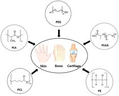 Biomolecule-modified synthetic polymers for wound healing and orthopaedic applications