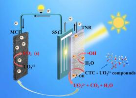Integrated approach to uranium recovery and organic decomposition with electricity generation in a self-driven photoelectrochemical system
