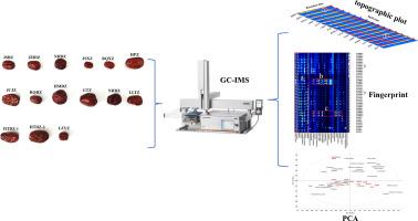 Assessment of the aroma profiles of 15 commercial Chinese jujubes using gas chromatography-ion mobility spectrometry