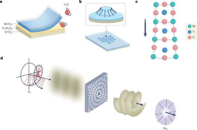Twisted light with a designed polar topology