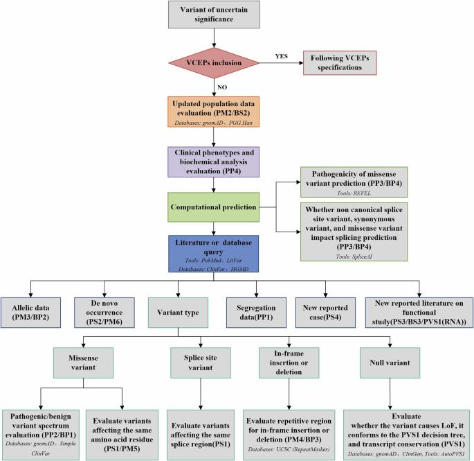 Reclassification of variants of uncertain significance in neonatal genetic diseases: implications from a clinician’s perspective