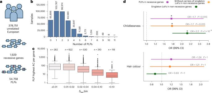 Reproductive and cognitive phenotypes in carriers of recessive pathogenic variants