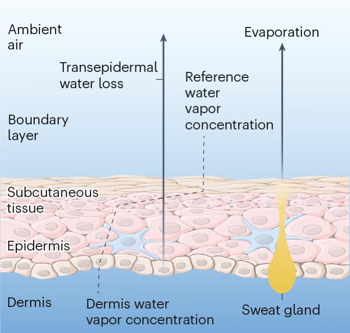 Sensing boundary layers near the skin