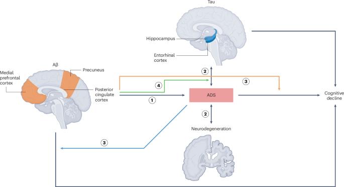 Anxious–depressive symptoms and sleep disturbances across the Alzheimer disease spectrum