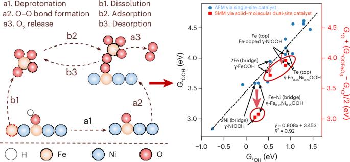 Dissolved Fe species enable a cooperative solid–molecular mechanism for the oxygen evolution reaction on NiFe-based catalysts