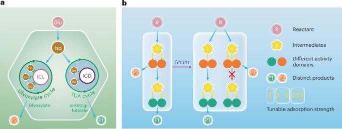Efficient syngas conversion via catalytic shunt