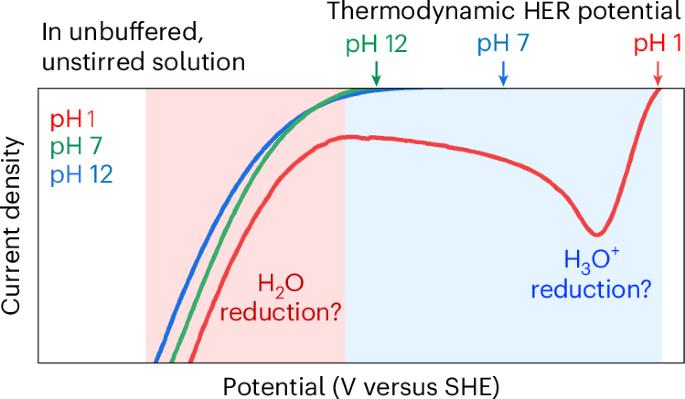 Understanding two voltammetric features of water reduction and water oxidation in mild pH solutions