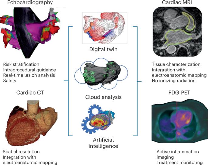 Cardiovascular imaging techniques for electrophysiologists