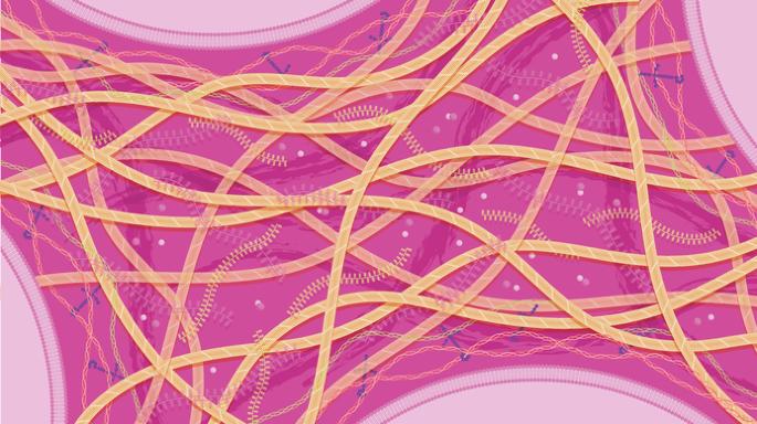 Abstract Image