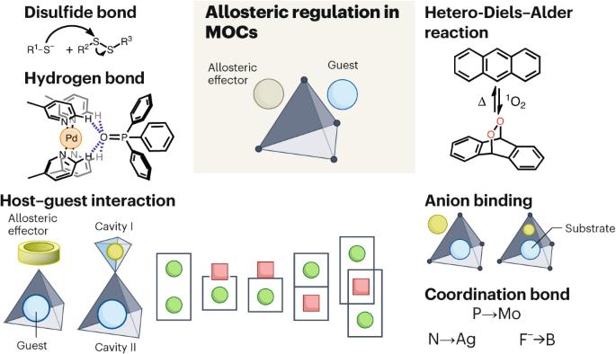 Allosteric regulation in metal–organic cages