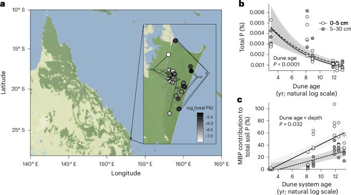 Microbial physiology conserves phosphorus across long-term ecosystem development
