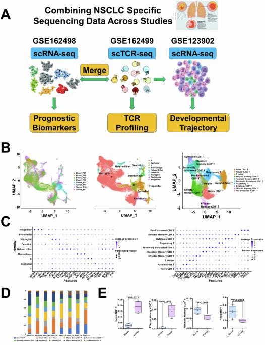 Characterizing the immune landscape of tumor-infiltrating lymphocytes in non-small cell lung cancer