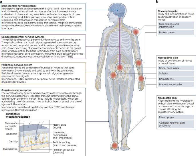 Bioelectronics for targeted pain management