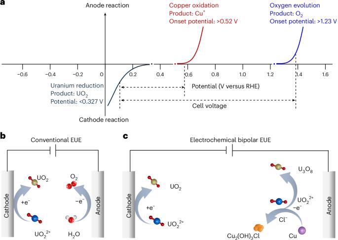 Bipolar electrochemical uranium extraction from seawater with ultra-low cell voltage