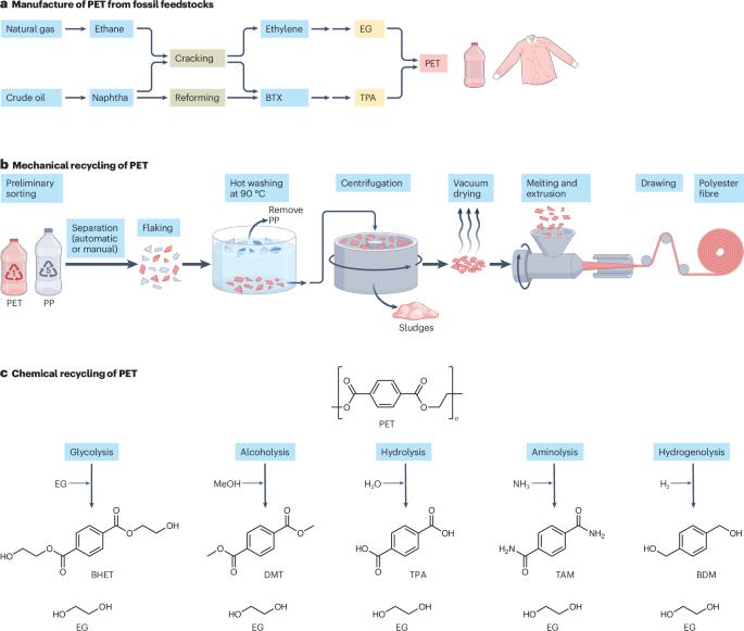 Polyester-degrading enzymes in a circular economy of plastics