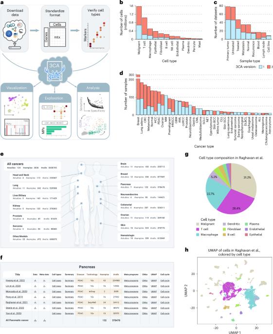 The Curated Cancer Cell Atlas provides a comprehensive characterization of tumors at single-cell resolution