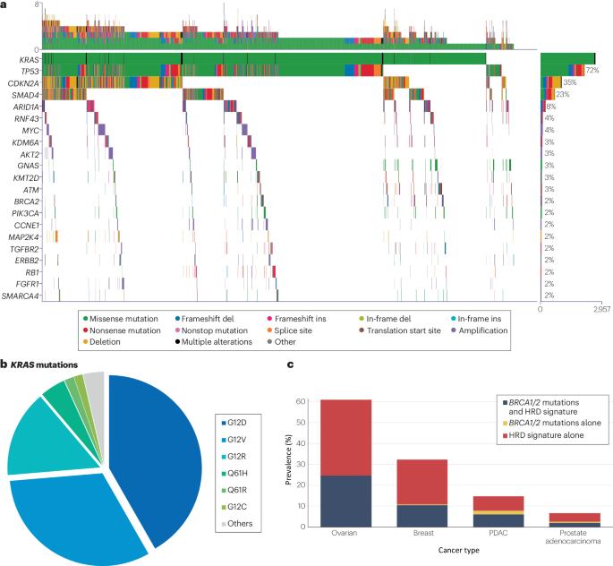 Improving outcomes of patients with pancreatic cancer