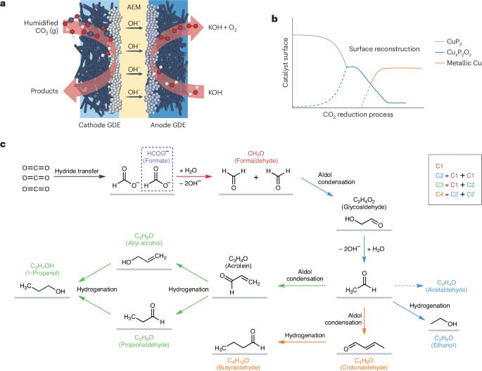 A formaldehyde condensation pathway in CO2 electrolysis