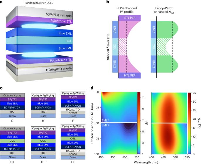 Stable, deep blue tandem phosphorescent organic light-emitting diode enabled by the double-sided polariton-enhanced Purcell effect