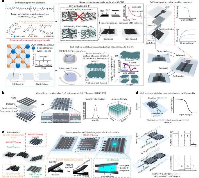 Reconfigurable assembly of self-healing stretchable transistors and circuits for integrated systems