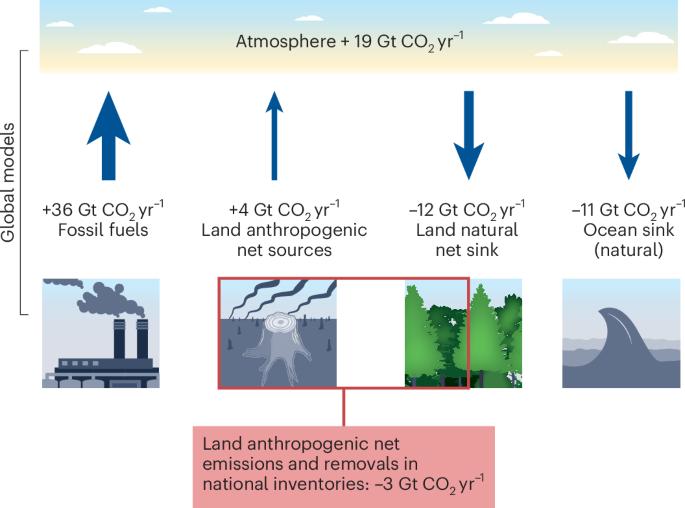Improving land-use emission estimates under the Paris Agreement