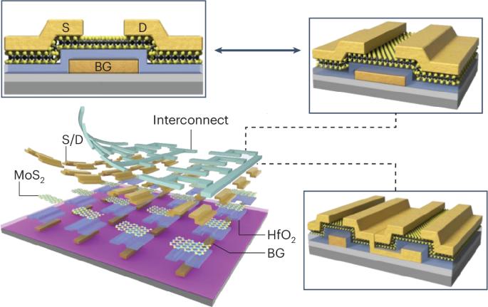 Scaling the contacted poly pitch of 2D transistors