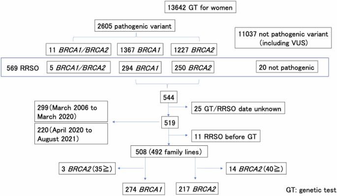 The impact of public insurance on RRSO for HBOC in Japan: a nationwide data study