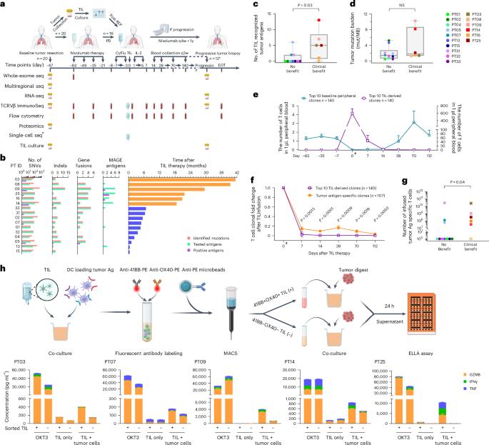 Impaired T cell and neoantigen retention in time-serial analysis of metastatic non-small cell lung cancer in patients unresponsive to TIL cell therapy