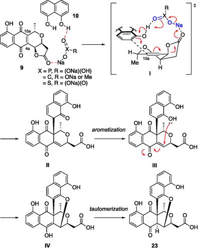 Synthetic Study on Bicyclic Pyranonaphthoquinone Natural Products: Construction of the Dioxabicyclo[3.3.1]nonene Motif