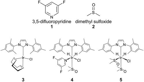 Low-Micromolar Quantification of Fluorinated Analytes Using Hyperpolarized 19F Benchtop Nuclear Magnetic Resonance