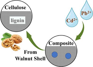 Removal of Cadmium and Lead Ions from Aqueous Solutions Using Lignin-Cellulose Acetate Composite Extracted from Walnut Shell