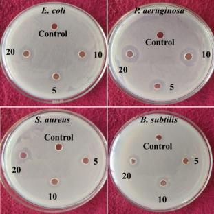 Microwave Assisted Au Nanoparticles Production Using Waste Avocado Seed Extract: Characterization, Antioxidant, and Antibacterial Activities