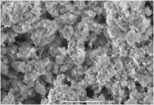 Green synthesis and characterization of citrus bergamia leaves extracted modified zinc oxide nanoparticles impregnated on cassava peel-based activated carbon