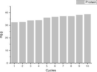 Affinity Monolithic Cryogel Column for an Innovative Approach in BanLec Purification