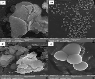 Evaluation of the mass transfer parameters, kinetic modeling, and detected optimized effective variables of dopamine extraction from the discarded fruit banana peel