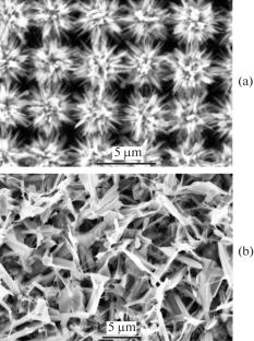 Some Peculiarities of the Near-Band-Edge Emission from ZnO Crystals Grown on Si Whiskers