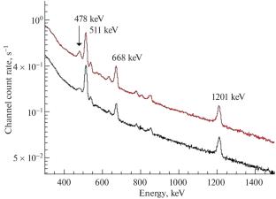 Determination of the Dose Load in Neutron Capture Therapy Using a Xenon Gamma-Ray Spectrometer